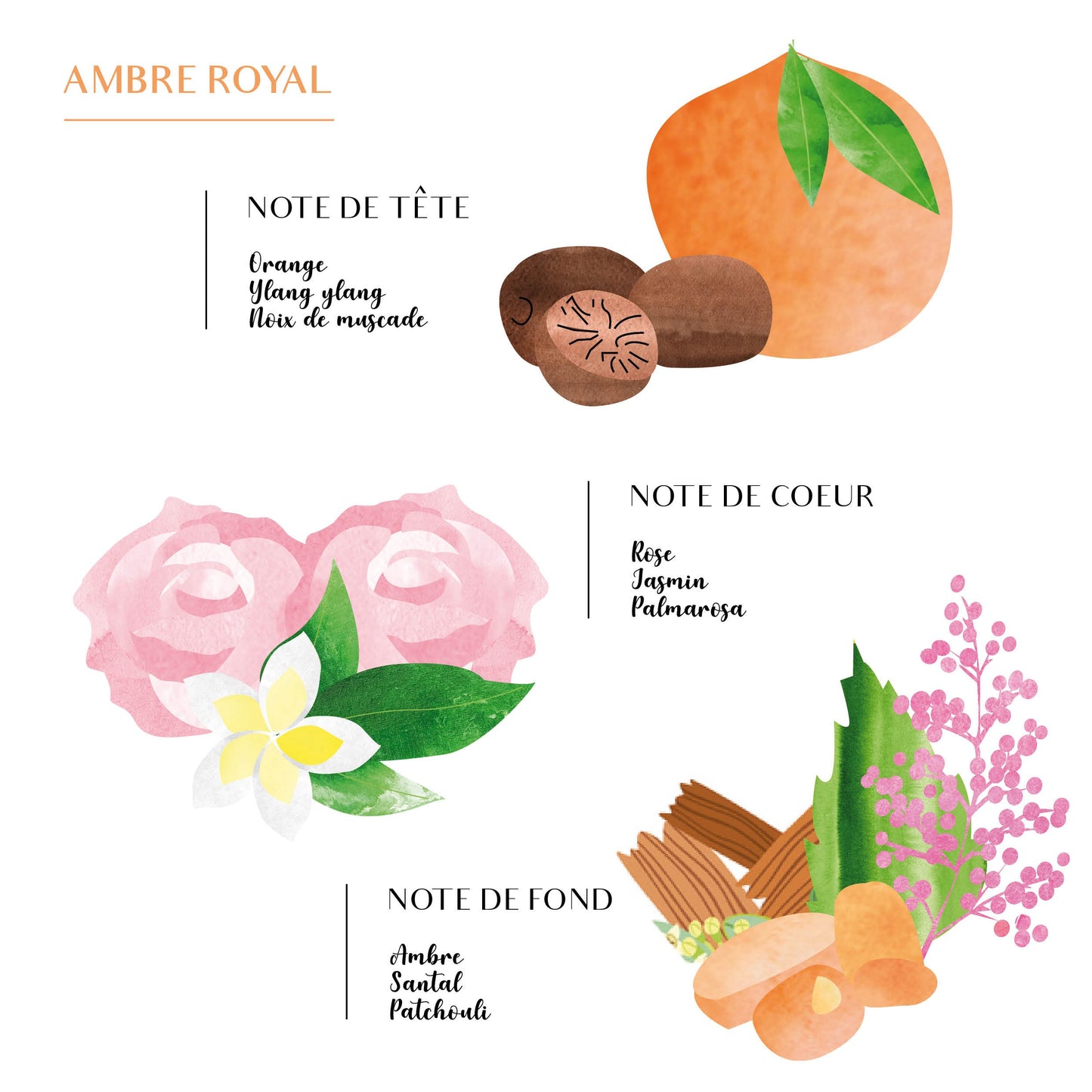 DIFFUSEUR bâtonnet Ambre COTE BOUGIE