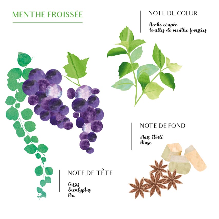 BOUGIE Tamegroute vert Menthe Thé COTE BOUGIE